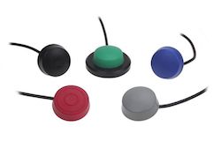 6241 puckswith HERGA